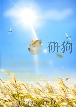 世界知识 第27期 1952 PDF电子版封面 05830176