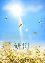 友谊 第6卷 第2期 1950 PDF电子版封面