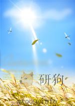 全国主要报刊资料索引 第12期 总第38期 1958 PDF电子版封面