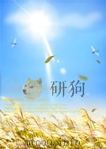 中国经济问题  第2期  总第14期（1960 PDF版）