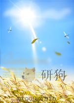 东海  第2期  总第77期（1961 PDF版）