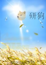 教育工作 第22期 总第98期 1955 PDF电子版封面