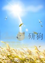文艺学习 第11期 总第44期 1957 PDF电子版封面