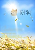 大众电影  第15期  总第228期   1960  PDF电子版封面  04920929   