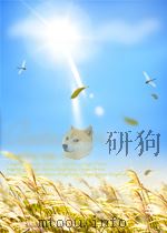 大众电影 第14期 总第203期 1959 PDF电子版封面 04920929