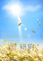 文艺红旗 第4期 总第82期 1962 PDF电子版封面