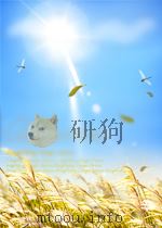 新疆文学 第4期 总第28期 1964 PDF电子版封面