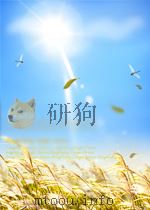 解放军文艺 第3期 总第55期 1956 PDF电子版封面 05777410