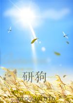 延河 第11期 总第32期 1958 PDF电子版封面 10016104