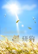 西南文艺 第11期 1952 PDF电子版封面