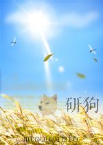 解放军文艺 第4期 总第32期 1954 PDF电子版封面 05777410