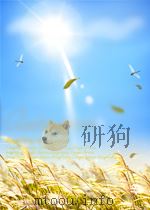 大公报索引 第10期 1961 PDF电子版封面