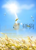 人民海军 第38期 1952 PDF电子版封面