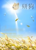 人民海军 第127期 1956 PDF电子版封面