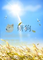 人民工兵 第17期 总第156期 1962 PDF电子版封面