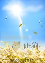 人民工兵  第3期  总第43期（1957 PDF版）