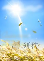 人民工兵  第15期（1955 PDF版）