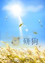 化学文摘 第二分册 无机物工艺 第11期 1962 PDF电子版封面