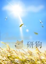 无线电  第11期  总第35期（1957 PDF版）