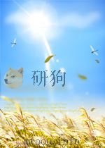 冶金文摘 第11期 总第20期 1958 PDF电子版封面