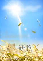 冶金文摘 第二分册 黑色金属冶炼 第6期 1960 PDF电子版封面