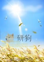 化学文摘  第三分册  硅酸盐材料  第11期（1964 PDF版）