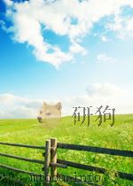 钢铁 第20期 1956 PDF电子版封面 0449749X