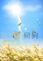 冶金文摘  第三分册  黑色冶金  第8期  总第20期（1964 PDF版）