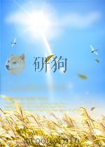 中国纺织  第10期  总第278期（1964 PDF版）