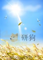 文学杂志 第2卷 第6期 1956 PDF电子版封面