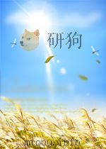 统计工作通讯 第1期 1954 PDF电子版封面