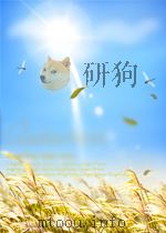 轻工业科学技术通讯 制盐工业 第10期 1963 PDF电子版封面