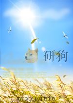 中国轻工业  第10期（1964 PDF版）