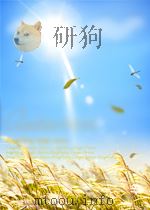 冶金快报 第13期 1963 PDF电子版封面