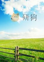 科学技术文献索引 化学化工 第2期 总第70期 1965 PDF电子版封面