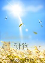 科技文献索引 期刊部分 化学化工 第7期 总第51期 1963 PDF电子版封面