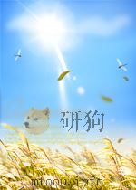 科学技术文献索引 矿业 第1期 总第31期 1965 PDF电子版封面