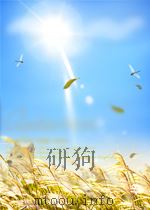 化学文摘 第五分册 高分子化学与工艺 第1期 1965 PDF电子版封面