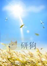 矿业文摘 第六分册 金属部分 第1期 总第4期 1964 PDF电子版封面
