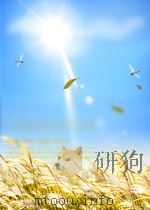 科技情报工作 第11期 1962 PDF电子版封面 10004467