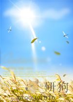 山东医刊 第11期 总第26期 1959 PDF电子版封面