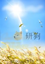 上海中医药杂志 第5期 1965 PDF电子版封面 10071334