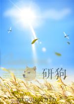 中医杂志  第3期（1955 PDF版）