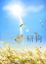 福建中医药  第2卷  第4期（1957 PDF版）