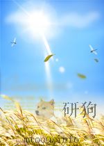 云南医学杂志  第4卷  第3期（1962 PDF版）