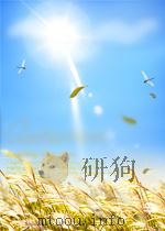 医药卫生快报 第23期 1960 PDF电子版封面