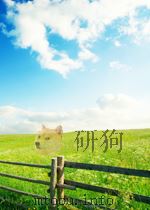 化学工业 第22期 总第148期 1963 PDF电子版封面