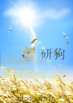 有机化学工业快报 第12期 1964 PDF电子版封面