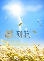 参考资料 第41期 1960 PDF电子版封面