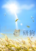 宣传通讯 第1期 总第179期 1956 PDF电子版封面